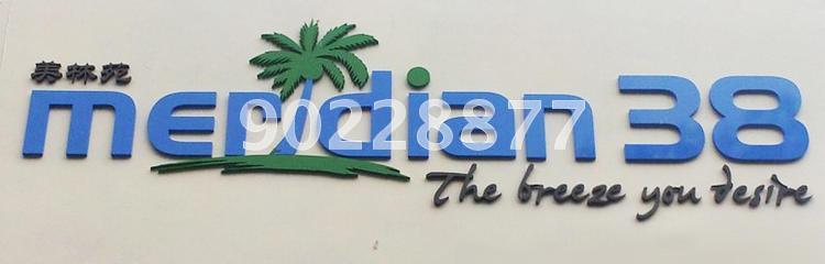 Meridian 38 (D15), Apartment #142332872